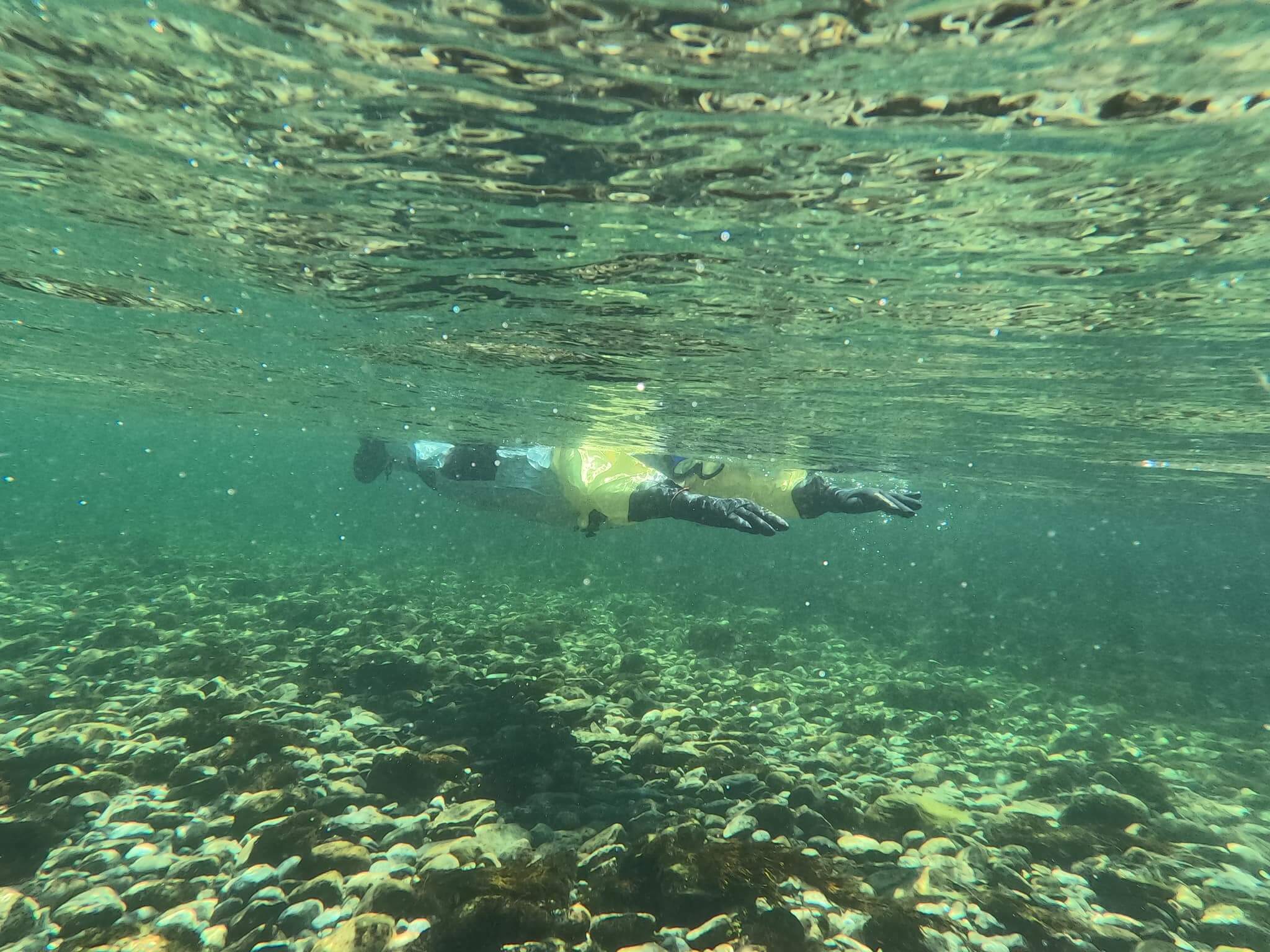 Laksesafari 1